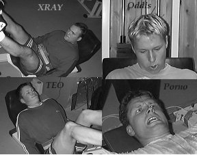 v�rres gutta's sex faktor er s� h�y at damer sklir av stressless'en